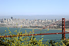 Golden Gate Bridge & Yellow Flowers photo thumbnail