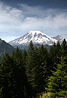 Mount Rainier Behind Evergreen Trees photo thumbnail