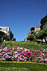 Lombard Street Close Up photo thumbnail