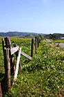 Country Fence & Road photo thumbnail