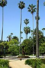Palms of Rogers Memorial Park photo thumbnail