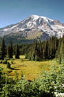 Mount Rainier & Open Field photo thumbnail