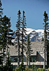 Mt. Rainier Behind Paradise Inn photo thumbnail