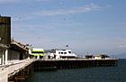 Santa Cruz Pier & Seagulls photo thumbnail
