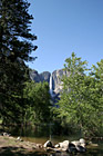 Yosemite Falls in Distance photo thumbnail