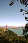 Golden Gate Bridge framed by Tree photo thumbnail