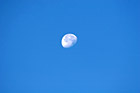Three Quarters Full Moon photo thumbnail