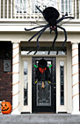 Halloween Spider & Witch photo thumbnail