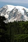 Close Up Mount Rainier & Trees photo thumbnail