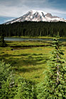 Mount Rainier, Trees, & Lake photo thumbnail