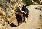 Horseback Riding at Half Moon Bay photo thumbnail