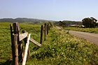 Marin County Country Road & Fence photo thumbnail