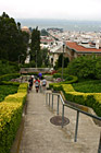 Running Stairs in the Presidio photo thumbnail