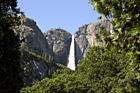 Yosemite Falls Through Trees photo thumbnail