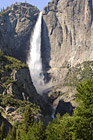 Yosemite Falls & Trees photo thumbnail