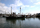 Newport, Oregon Sailboats & Bridge photo thumbnail