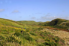People Hiking on Green Trail photo thumbnail