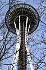 Space Needle & Tree Branches photo thumbnail