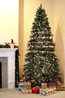 Christmas Tree & Presents photo thumbnail