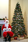 Santa Claus Sitting by Christmas Tree photo thumbnail