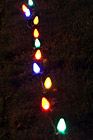 Christmas Lights Along the Grass photo thumbnail