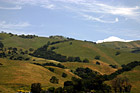 Green Hill, Trees, & Blue Sky photo thumbnail