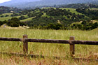 Country Fence & Green Fields photo thumbnail