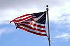 American Flag photo thumbnail