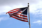 American Flag photo thumbnail