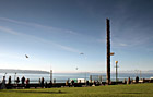 Seattle Waterfront Park & Seagulls photo thumbnail