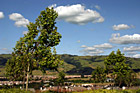 Blue Sky, Green Hills, & Trees in San Jose photo thumbnail