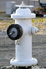 White Fire Hydrant photo thumbnail
