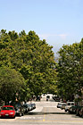 Road, Blue Sky & Leafy Trees photo thumbnail