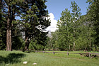 Landscape Trees & Fence in Yosemite photo thumbnail