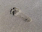 Footprint in Sand photo thumbnail