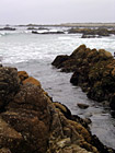 Pebble Beach 17 Mile Scenic Route photo thumbnail