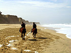Beach Horseback Riding photo thumbnail