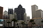San Francisco City Buildings photo thumbnail
