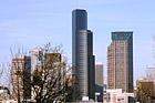 Tree & Seattle Skyscrapers photo thumbnail