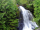 Falls Creek, Mt. Rainier National Forest photo thumbnail