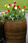 Barrel of Flowers photo thumbnail