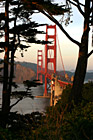 Golden Gate Bridge Through Trees photo thumbnail
