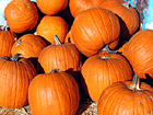 Pumpkins for Halloween photo thumbnail