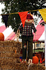 Scarecrow photo thumbnail