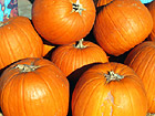 Close Up - Pumpkins photo thumbnail
