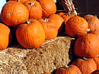Hay &Pumpkins photo thumbnail