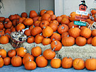 Halloween Pumpkins photo thumbnail