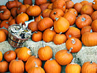 Basket & Pumpkins photo thumbnail