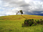 Lonely Tree & Storm photo thumbnail