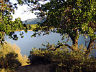 Lake & Scenic Trees photo thumbnail